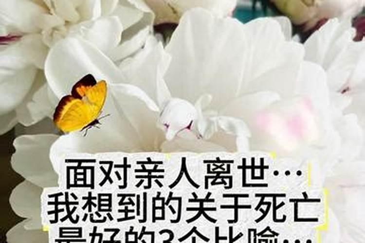 梦到死去的外婆回来了