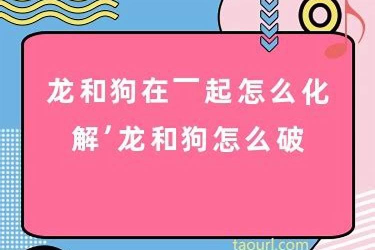 属狗遇到属龙的怎么化解