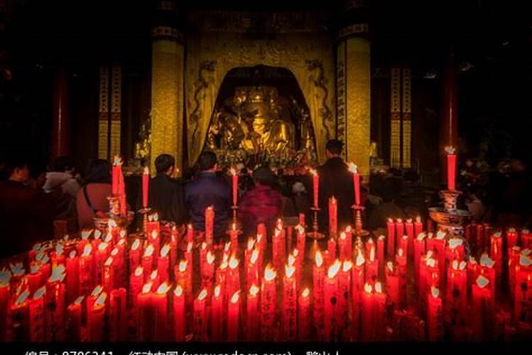 重阳节的风俗是哪些节日