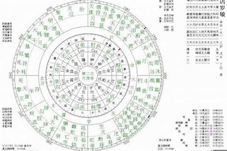 1969年生属鸡2024年运程