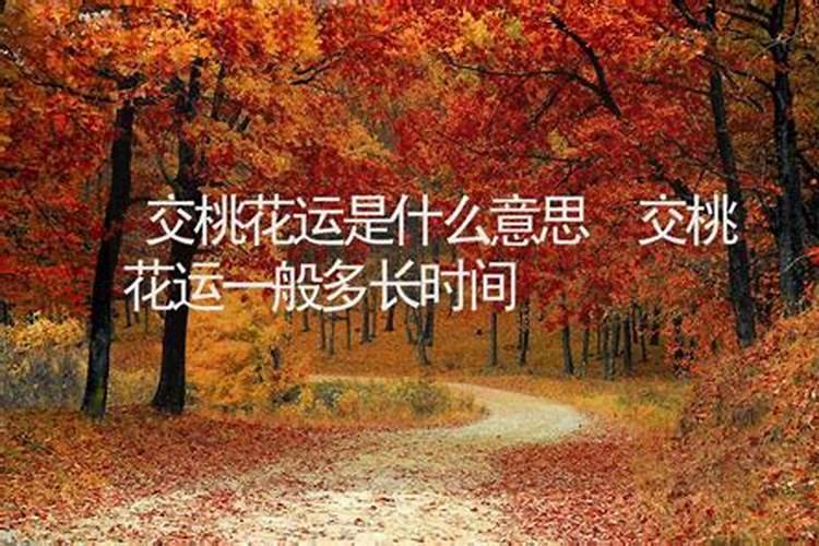 算卦桃花运什么是生辰八字