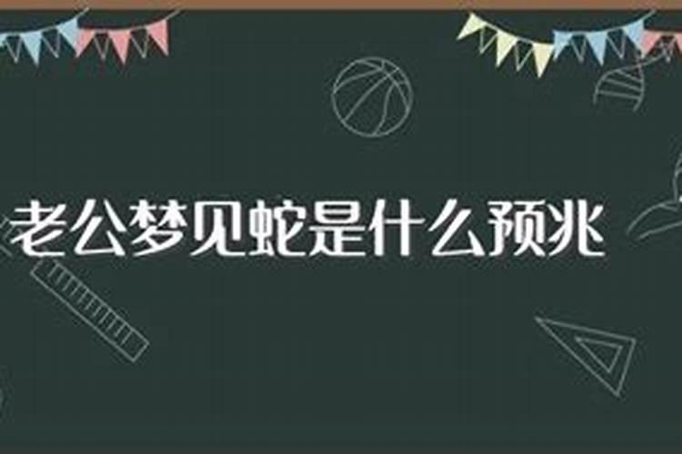 老公梦到蛇代表什么