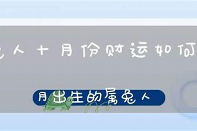 10月属兔的今年运势怎么样