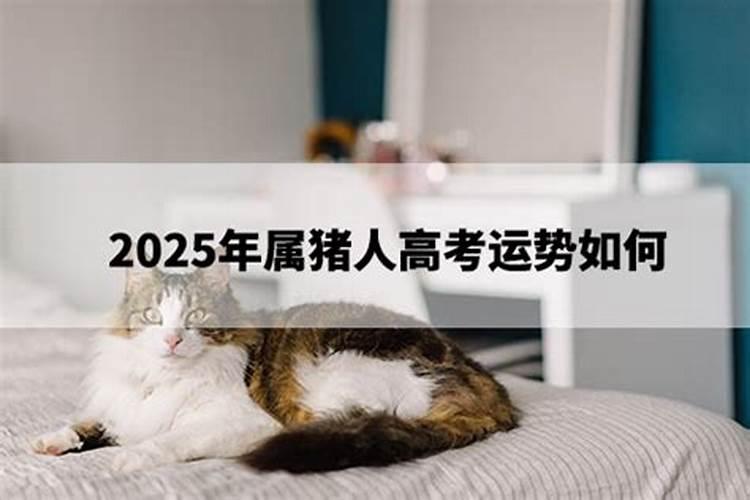 2007年属猪女2023学业