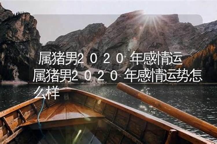 八三年属猪男2020年运势怎么样