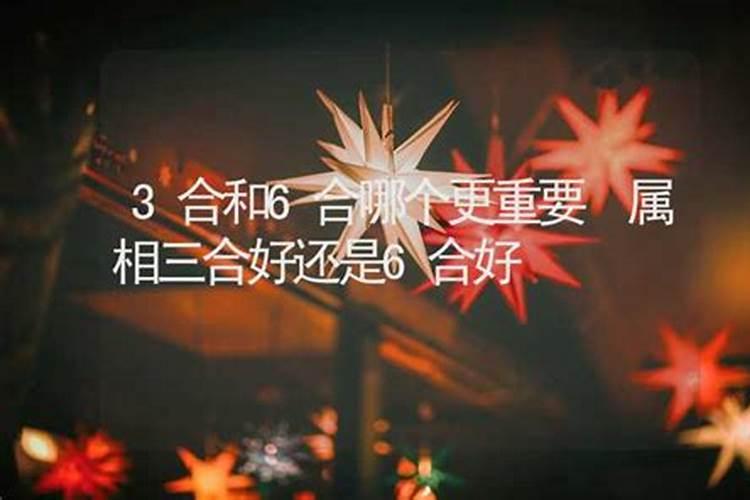 属相3合好还是6合好