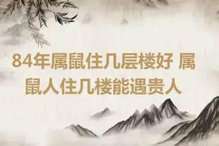 属鼠的人住几楼最吉利呢