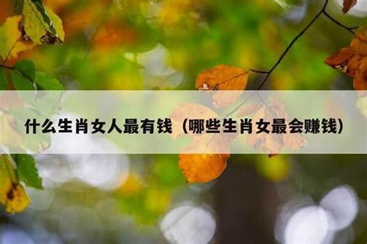 什么生肖比较合财呢