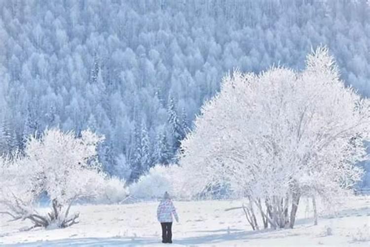 冬至新疆下雪了吗今年几月