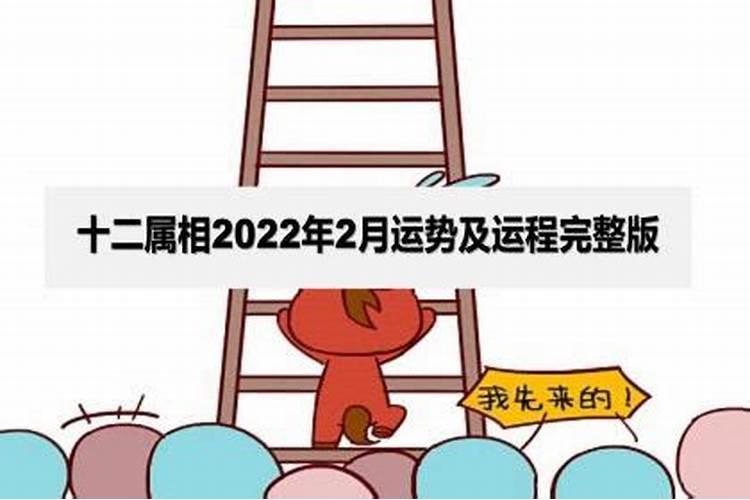 属相2022年运势及运程