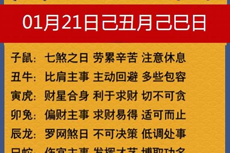 2021属相运势大全