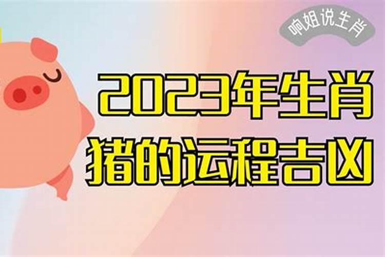 2023生肖属猪的运势如何看