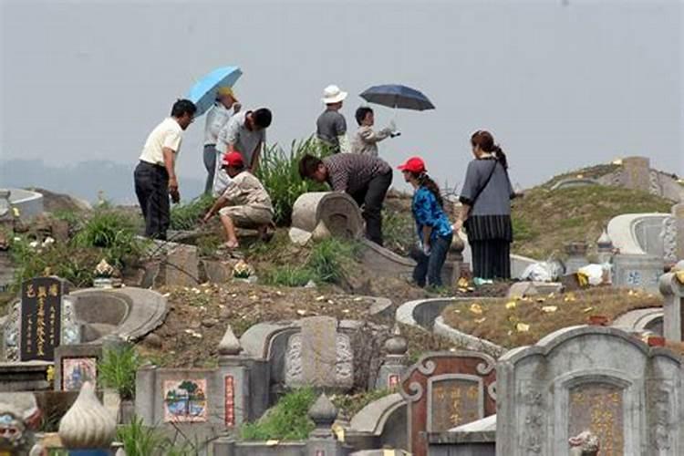 清明节去野外祭扫