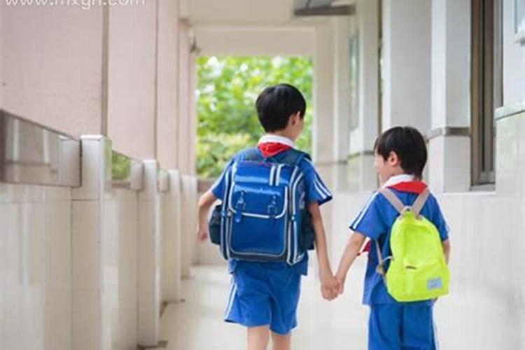 梦见一群小孩上学的小学生