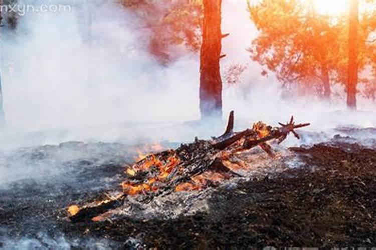 梦见山上着火了是什么征兆