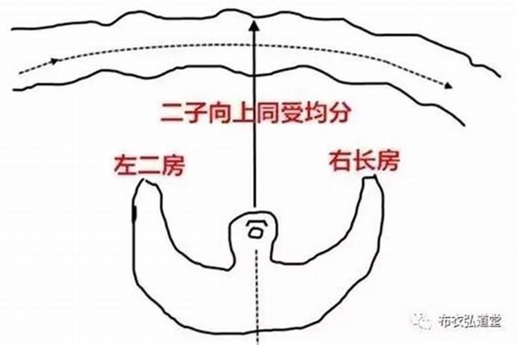 梦见漂亮的女人不理我