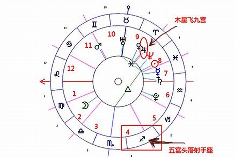 命主星落5宫天蝎