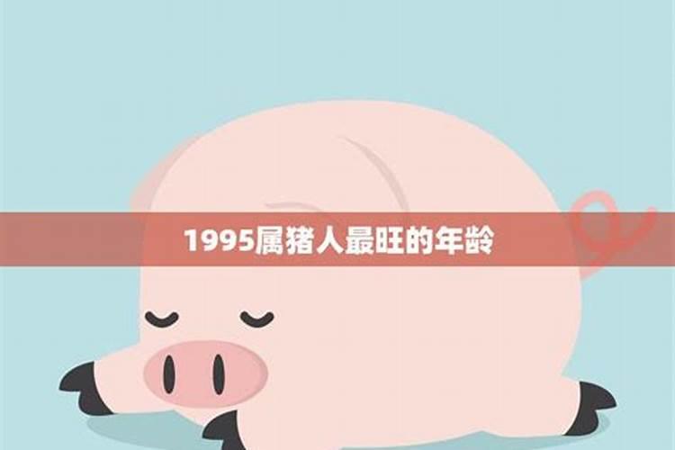 2022年属猪爱情运势1995