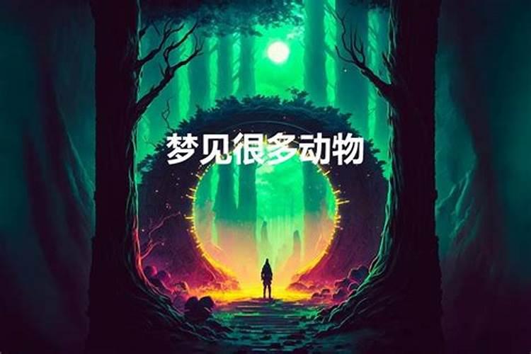 梦见好多动物虫子是啥意思周公解梦