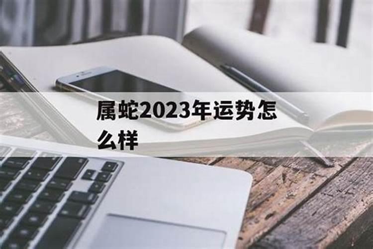 属蛇猪年2023年运程