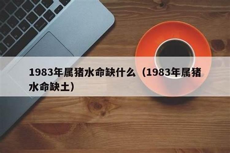 83年猪五行属什么水