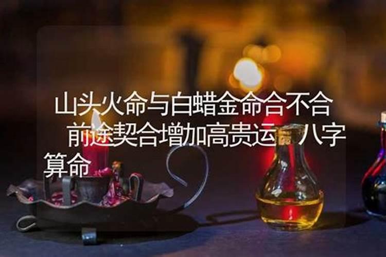 火命和金命姻缘相配吗