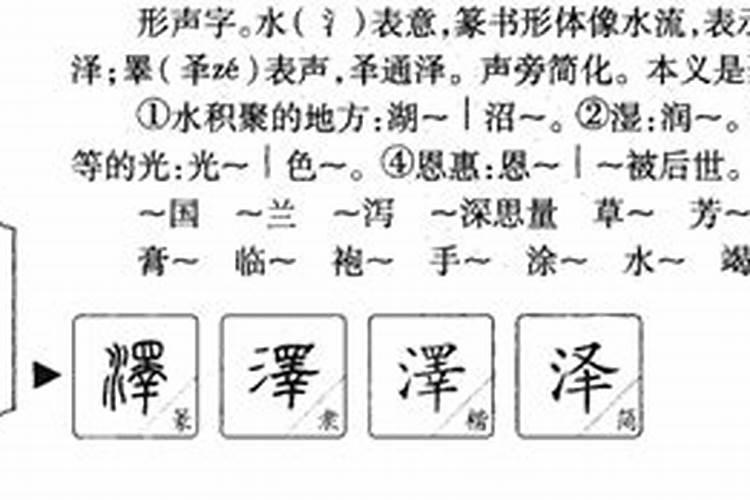 泽字五行属什么