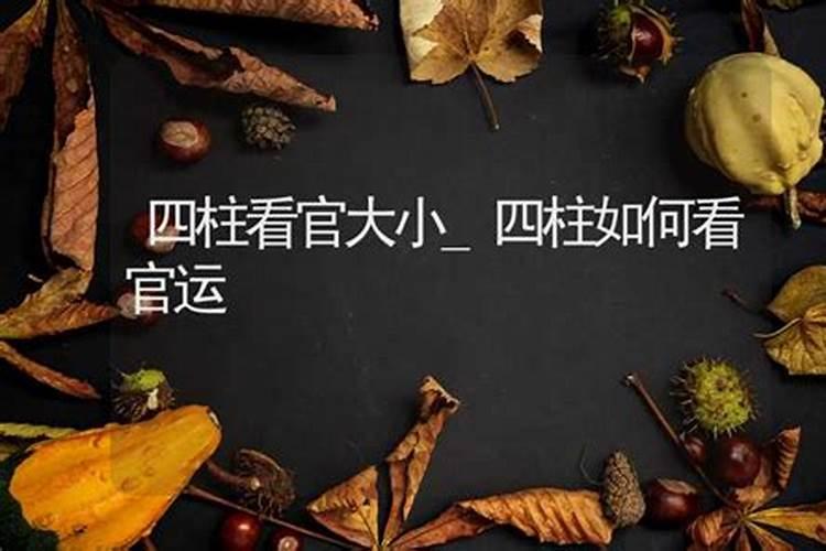 八字命理如何看大官执权