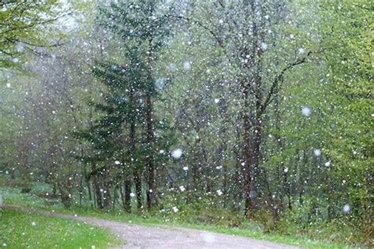 梦到下雨刮风下冰雹怎么回事啊