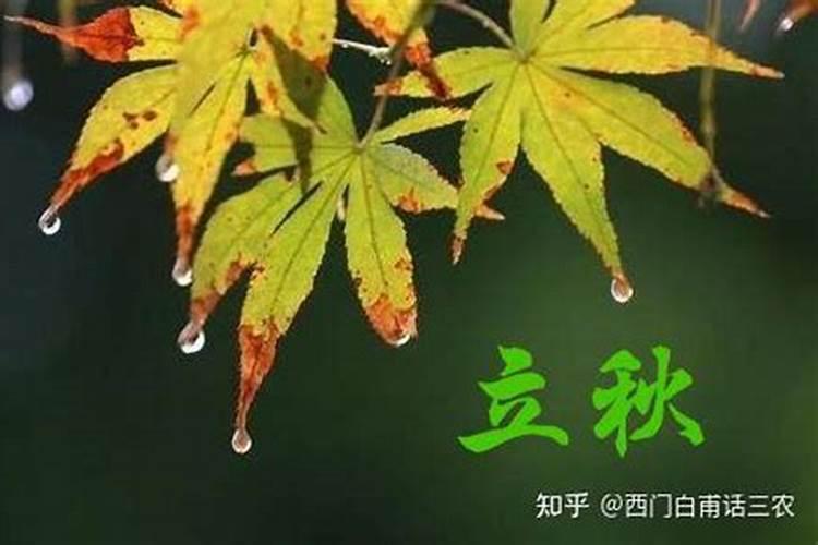 立秋是每年的阴历还是阳历