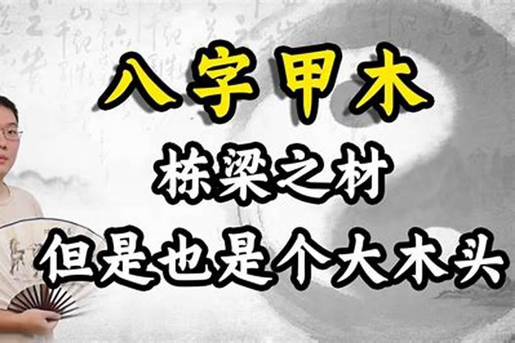 八字甲和乙的关系是什么