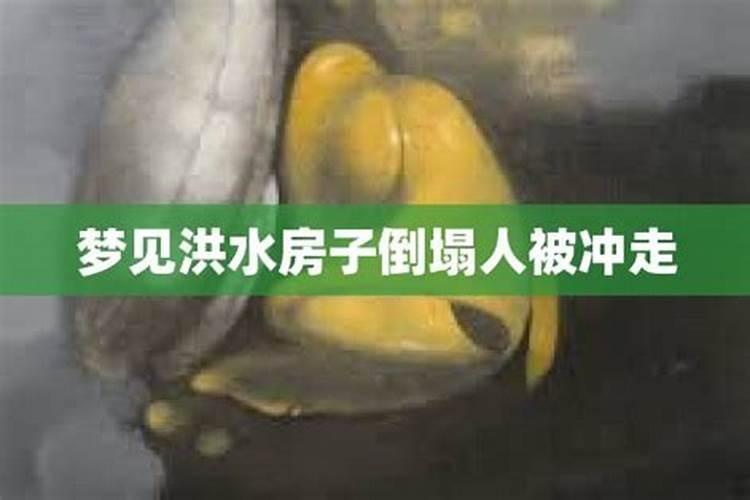 梦见大树被洪水冲倒门口