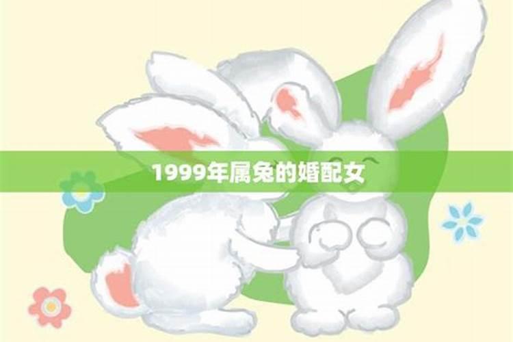 1999年兔女和1996年鼠男