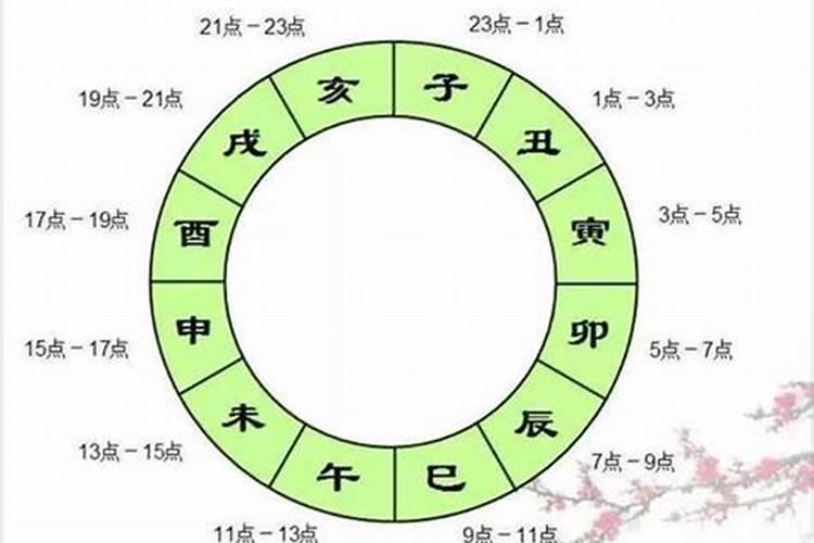 晨时和亥时的八字合吗