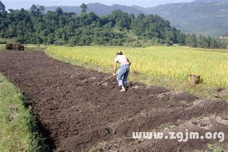 梦见别人填土是什么意思