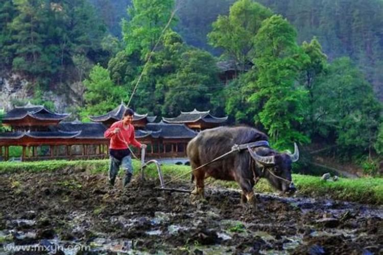 梦见别人填土是什么意思