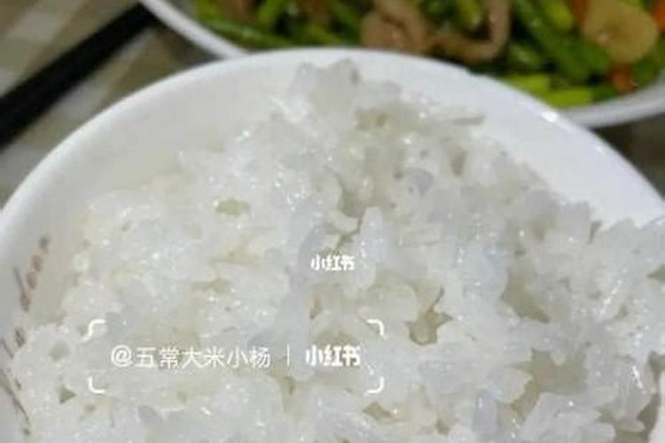 中元节贡饭应该是几碗