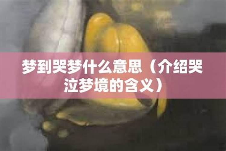 梦到死人在哭什么意思啊