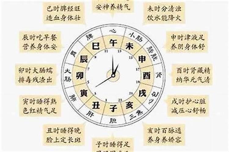 十二生肖属于什么时候