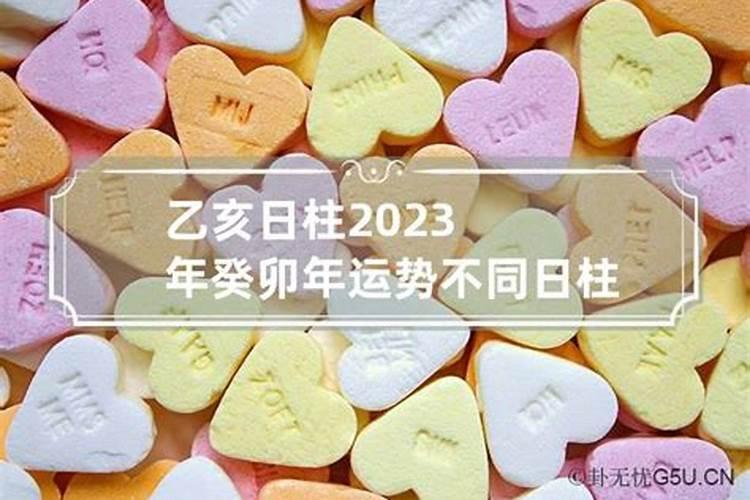 乙亥日柱2022年运势