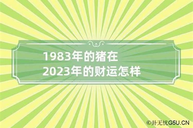 1983年出生的运势如何