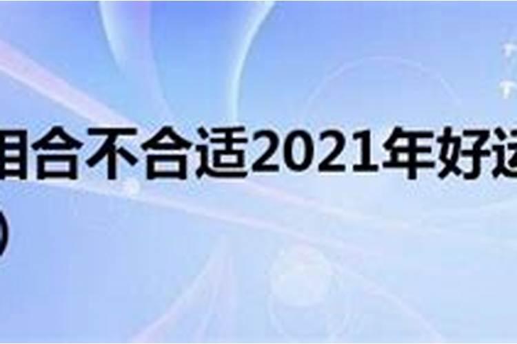 龙和羊属相合不合配对，属龙的人与属羊的人相配吗