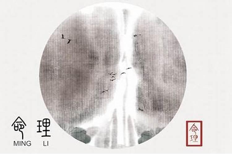 正月初五卯时出生男孩