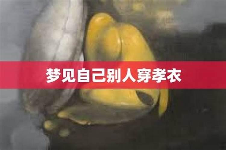 梦见亲人死穿孝