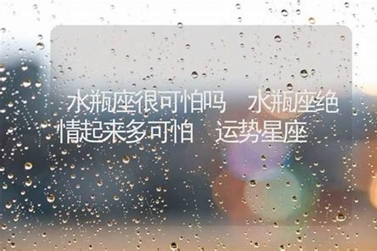 水瓶女可靠吗