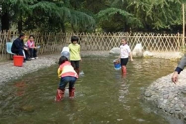 梦到鱼在水里游是什么意思