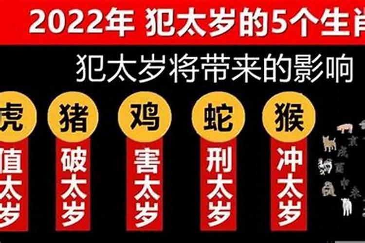 犯太岁属马2021