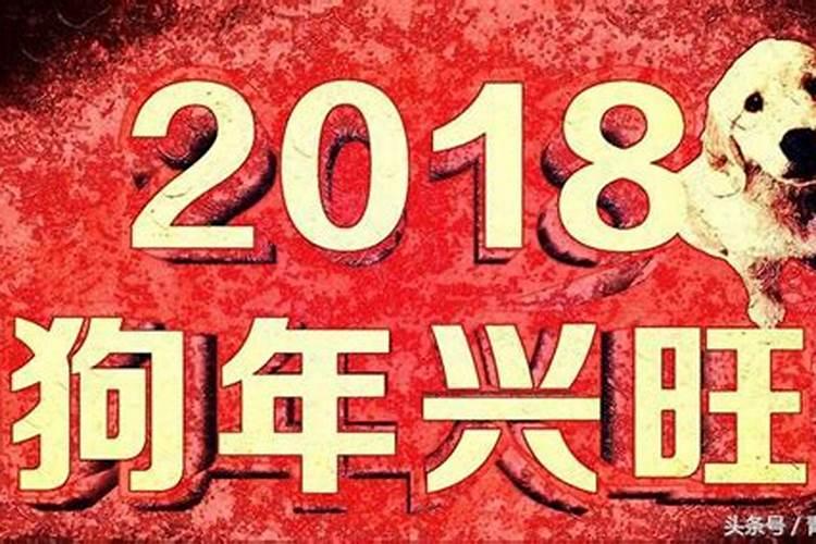 属兔生于12月