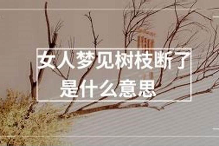 梦见树丫枝断是什么意思