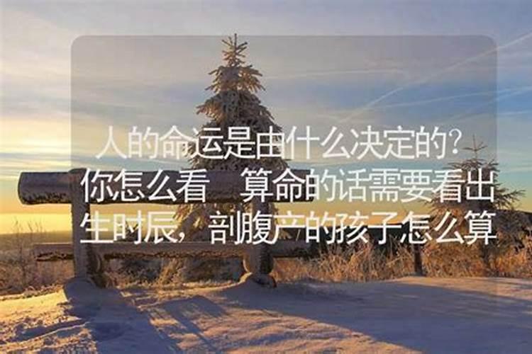 一个人的运气由什么决定